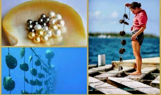 Freshwater Pearl Jewerly