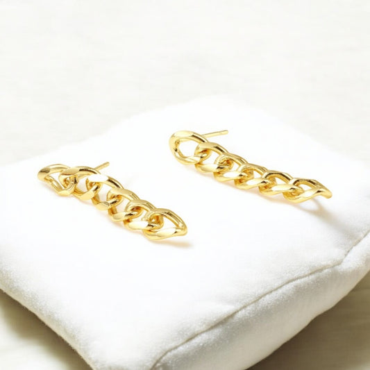 Paulina’s Earrings